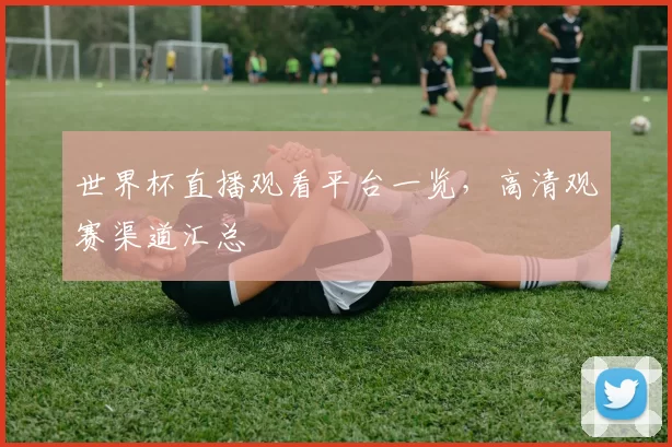 世界杯直播观看平台一览,高清观赛渠道汇总