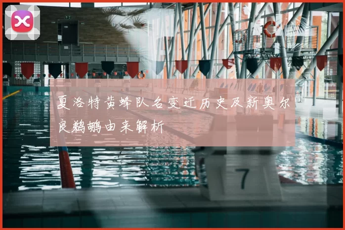 夏洛特黄蜂队名变迁历史及新奥尔良鹈鹕由来解析
