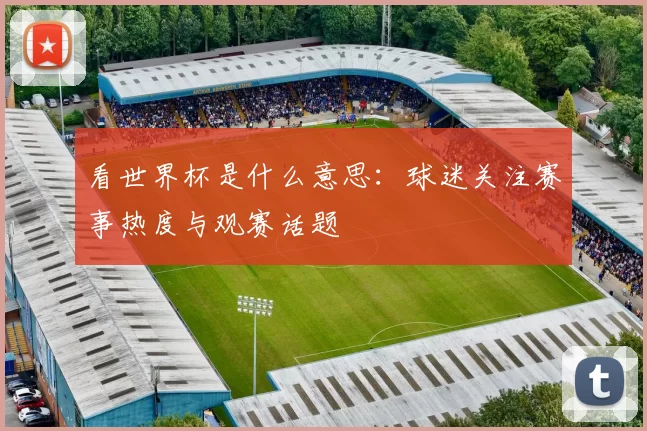 看世界杯是什么意思:球迷关注赛事热度与观赛话题
