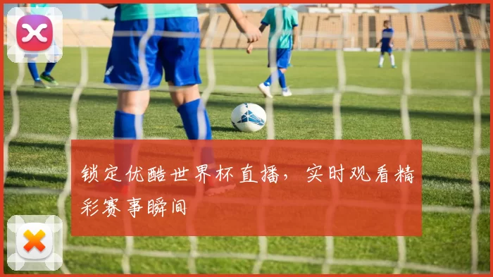 锁定优酷世界杯直播,实时观看精彩赛事瞬间