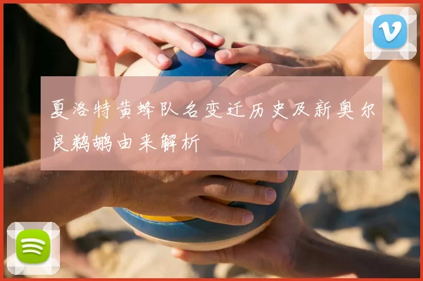 夏洛特黄蜂队名变迁历史及新奥尔良鹈鹕由来解析