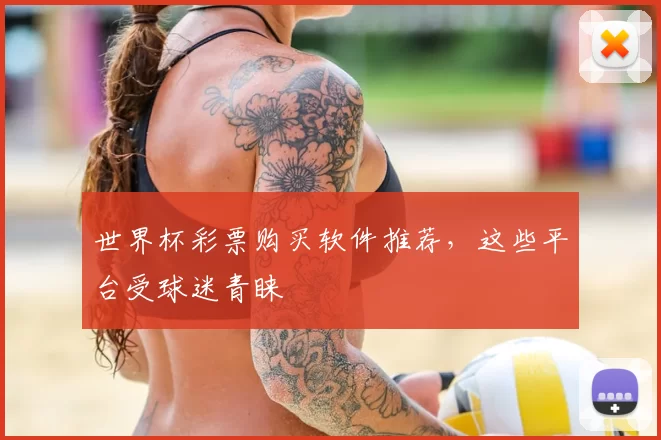 世界杯彩票购买软件推荐,这些平台受球迷青睐