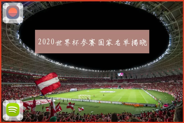 2020世界杯参赛国家名单揭晓