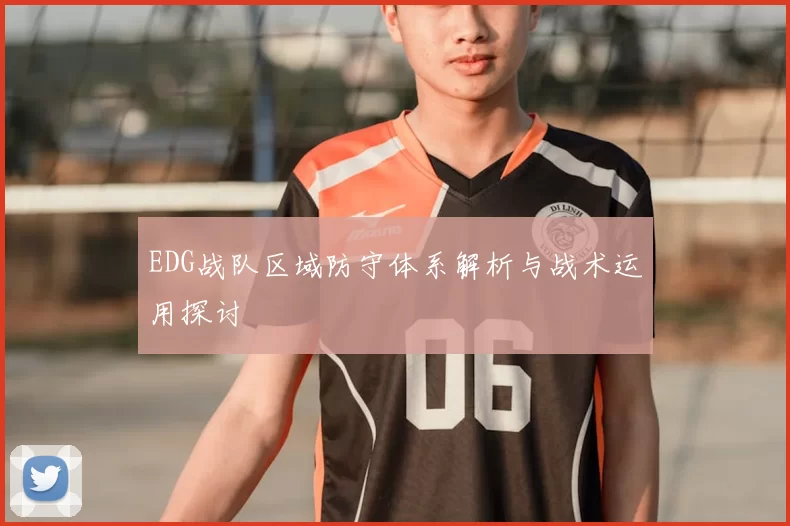 EDG战队区域防守体系解析与战术运用探讨