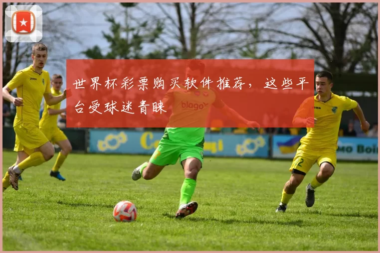 世界杯彩票购买软件推荐，这些平台受球迷青睐