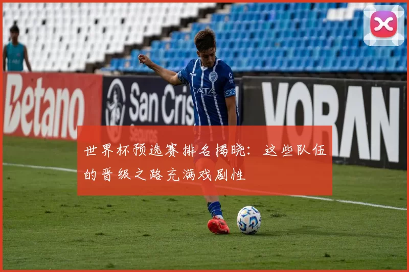 世界杯预选赛排名揭晓:这些队伍的晋级之路充满戏剧性