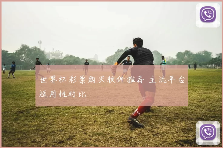世界杯彩票购买软件推荐 主流平台适用性对比