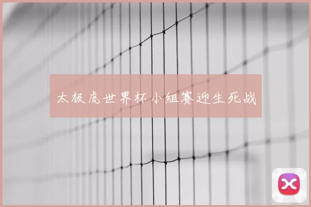 太极虎世界杯小组赛迎生死战