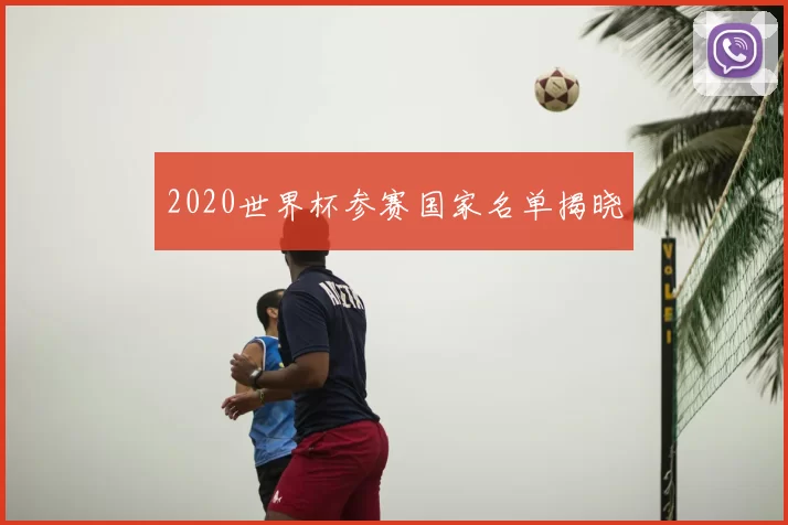 2020世界杯参赛国家名单揭晓